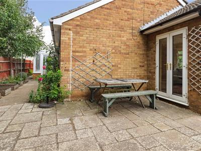 Picture 23